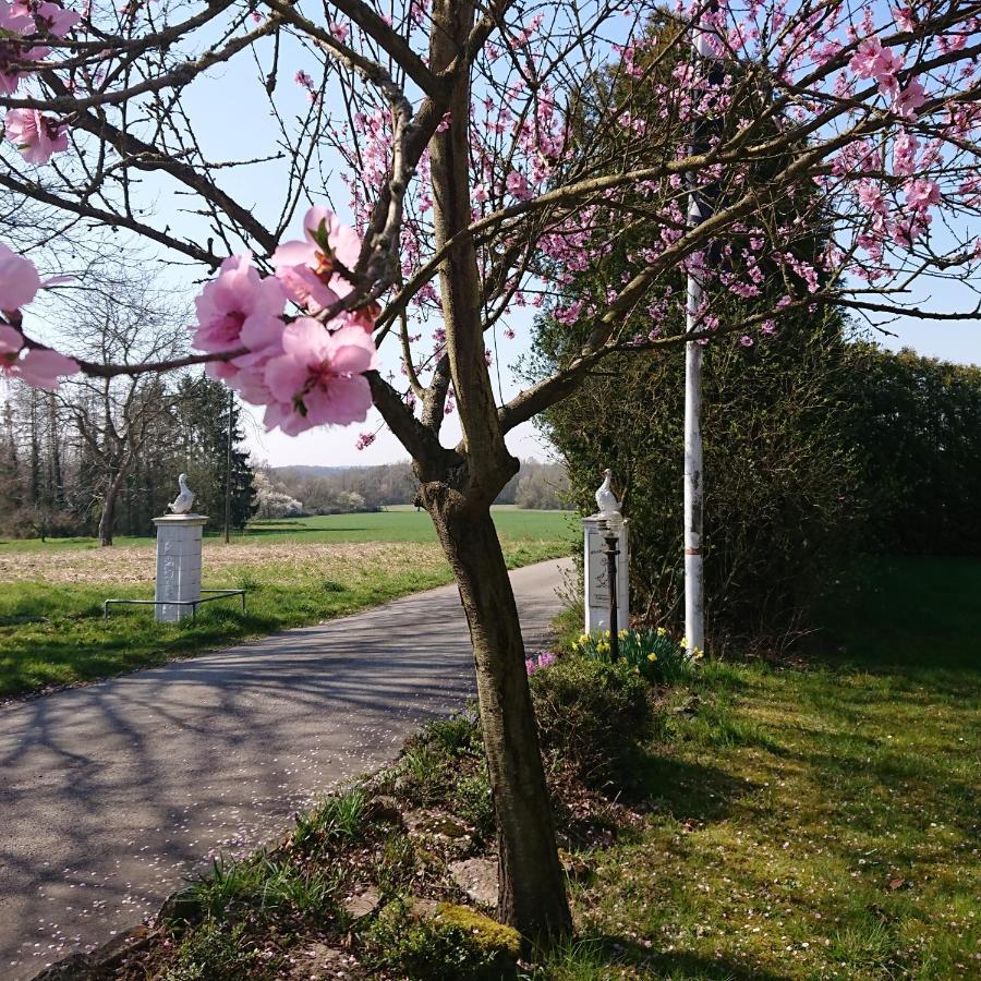 Landgasthof Gaensberg Wiesloch Buitenkant foto