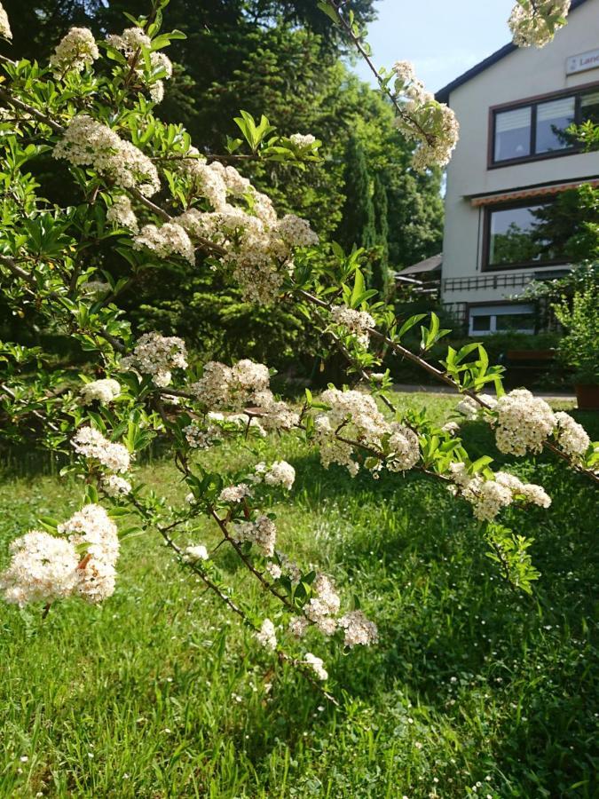Landgasthof Gaensberg Wiesloch Buitenkant foto