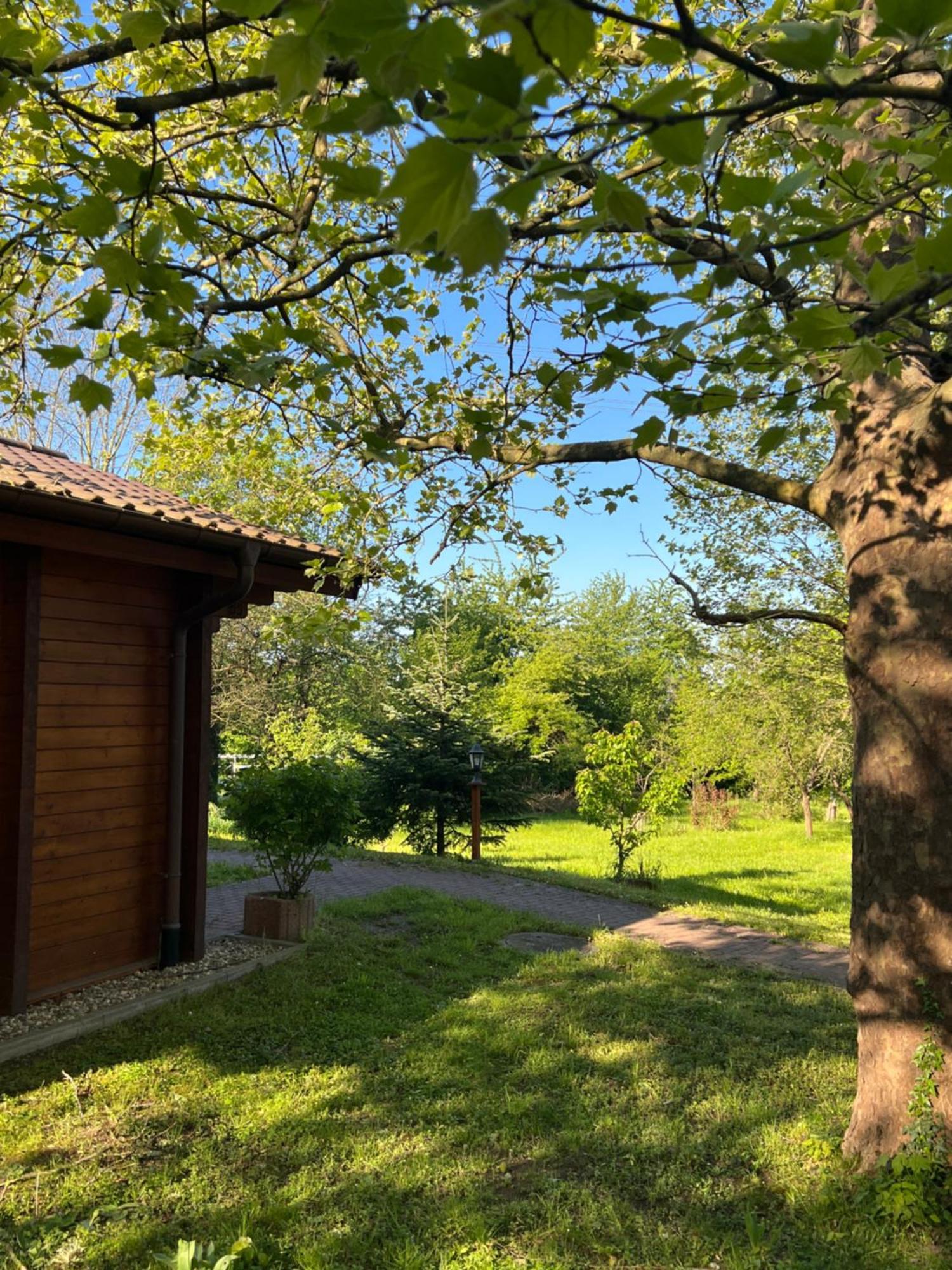 Landgasthof Gaensberg Wiesloch Buitenkant foto