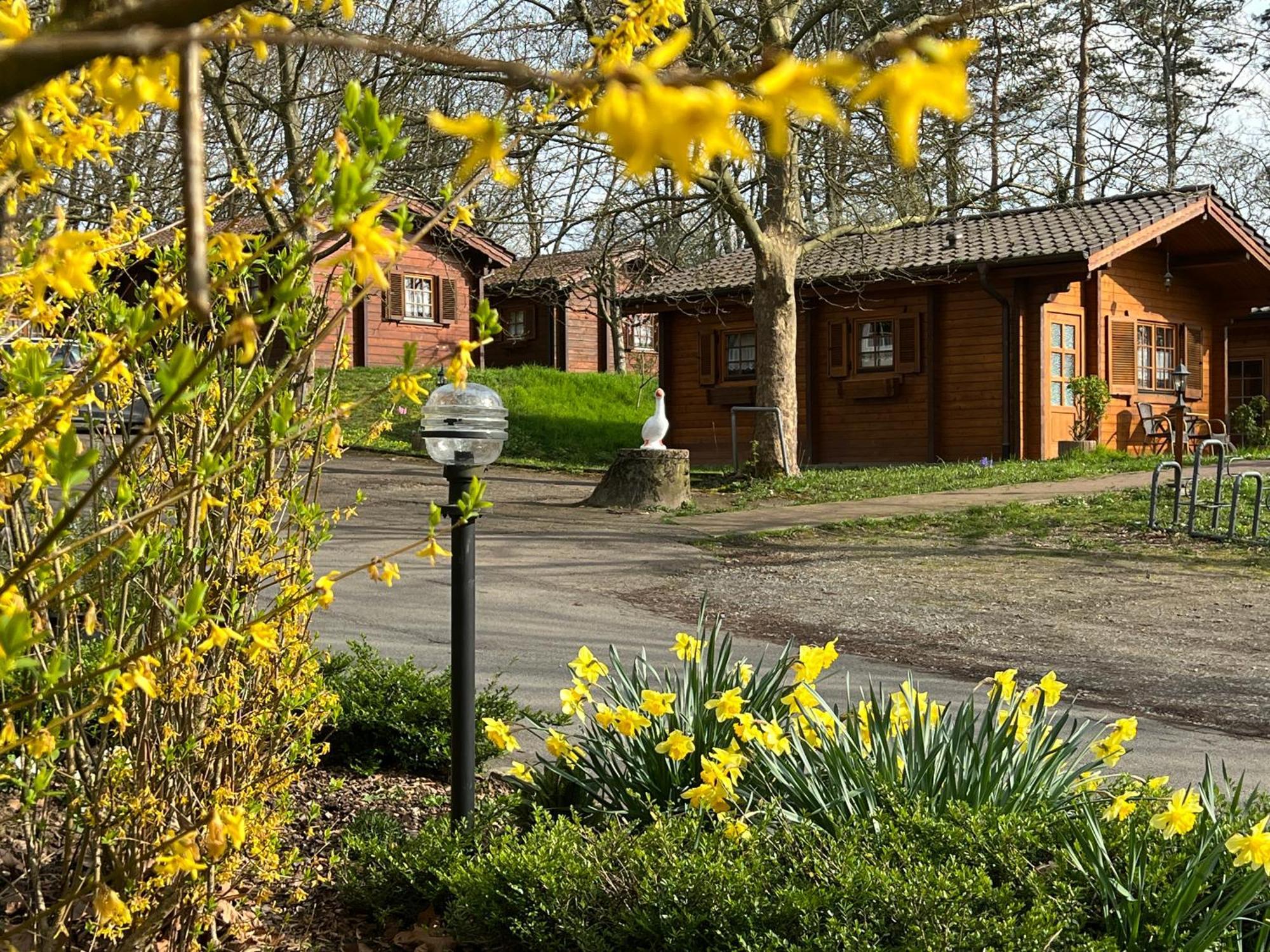 Landgasthof Gaensberg Wiesloch Buitenkant foto
